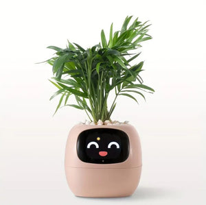 HappieRoots: Ivy Smart Planter