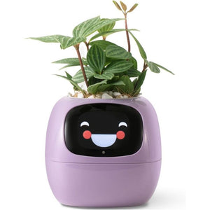 HappieRoots: Ivy Smart Planter