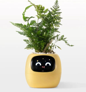 HappieRoots: Ivy Smart Planter